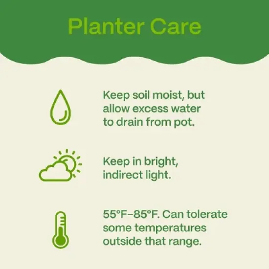 12" Fall Combo Planter - Good Little Garden&trade; image {5}