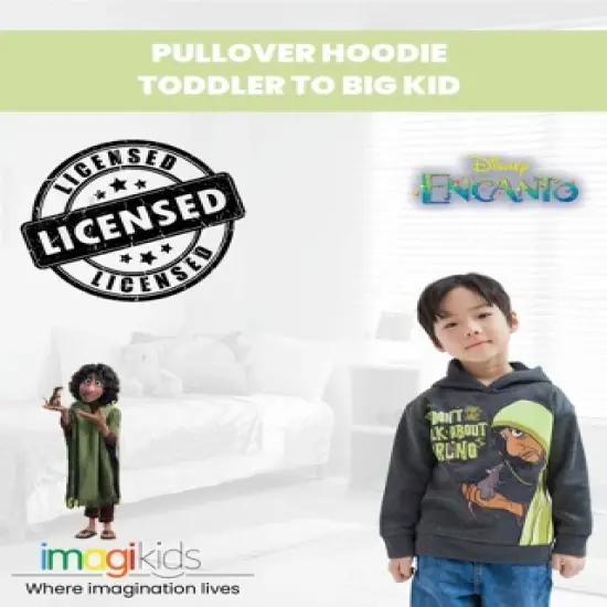 Disney Encanto Bruno Fleece Pullover Hoodie Toddler to Big Kid image {1}