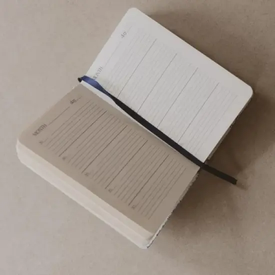 Sweet Water Decor Guide Blue Delft One Line A Day Journal image {2}