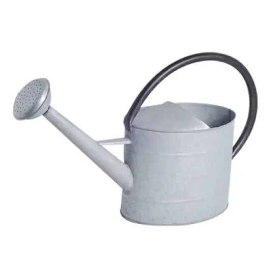 Tierra Garden Oval Aged Zinc Watering Can image {4}