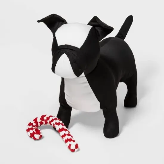 Candy Cane with Rope Dog Toy - Boots & Barkley&trade; image {1}
