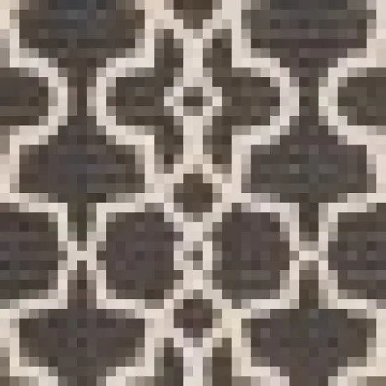 Courtyard Raquel Outdoor Rug - Safavieh image {1}