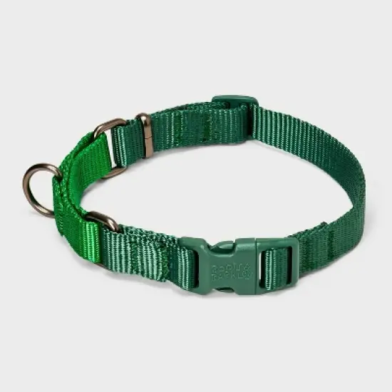 Martingale with Buckle Adjustable Dog Collar - Boots & Barkley&trade; Assorted Greens image {3}