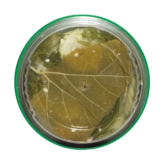 Grillo's Pickles Blazing Hot Dill Chips - 16 fl oz image {4}