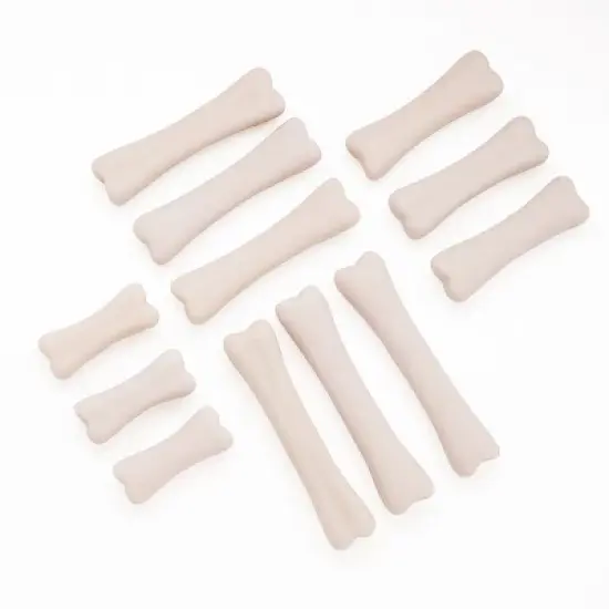 Yellow Door Dinosaur Bones Discovery Set image {1}