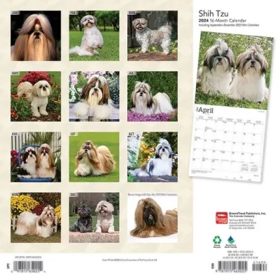 Browntrout 2024 Wall Calendar 12"x12" Shih Tzu Dog image {1}