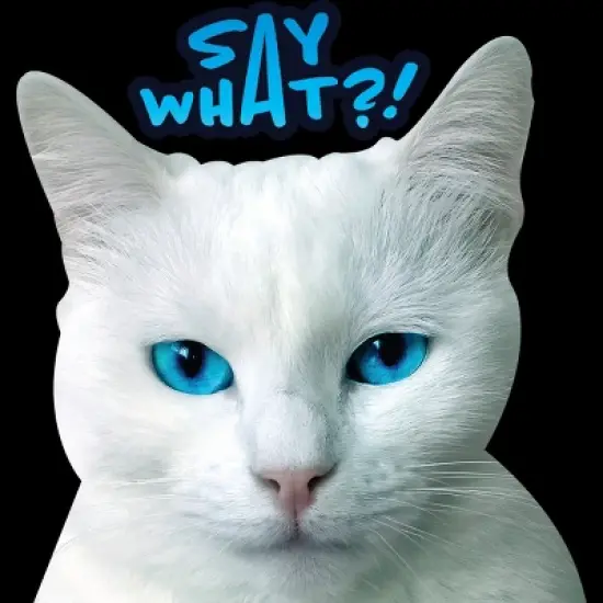 Junior's Design By Humans Cat grumpy face: Say What?! By GTRobert T-Shirt image {1}