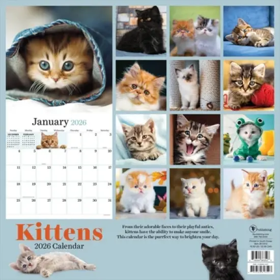 TF Publishing 13.5"x14.5" 2026 Kittens Wall Calendar image {4}