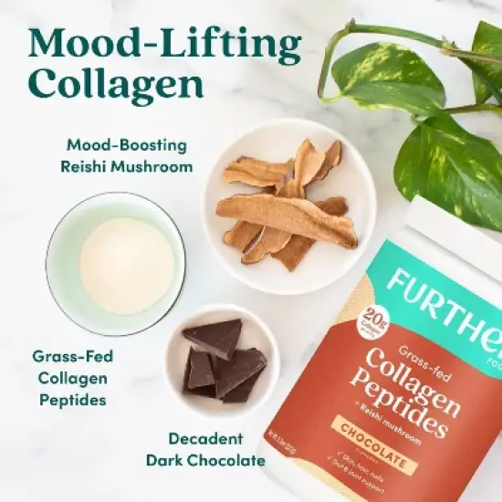 Further Food Collagen Peptides Powder + Reishi Mushroom - Chocolate - 11.36oz image {3}
