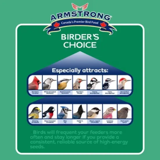 Armstrong Wild Bird Food Birder's Choice Suet Cake, 11.3oz (Pack of 12) image {3}