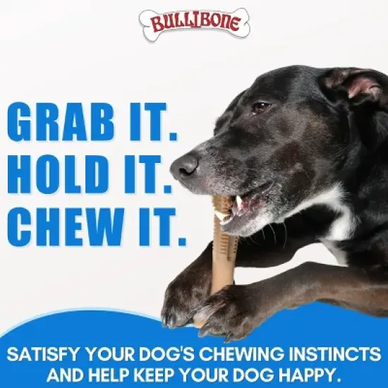 Bullibone Superbrush Chew Toy for Large Dogs image {5}