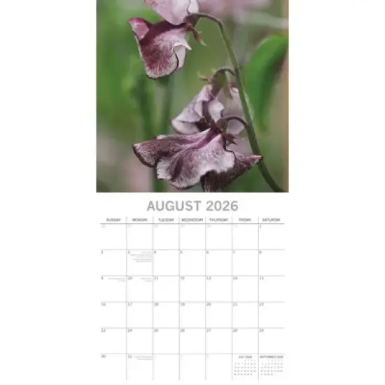 2026 Square Wall Calendar, Beauty of Flowers, 16-Month Floral Theme, 180 Reminder Stickers (12x12 In) image {2}