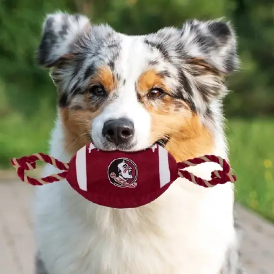 NCAA Florida State Seminoles Nylon Football Dog Toy image {2}
