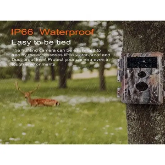 BlazeVideo 2-Pack 24MP 1296P Outdoor Waterproof Night Vision Trail, Game, Photo and Video Cameras with No Glow, Motion Activated for Wildlife Hunting image {4}