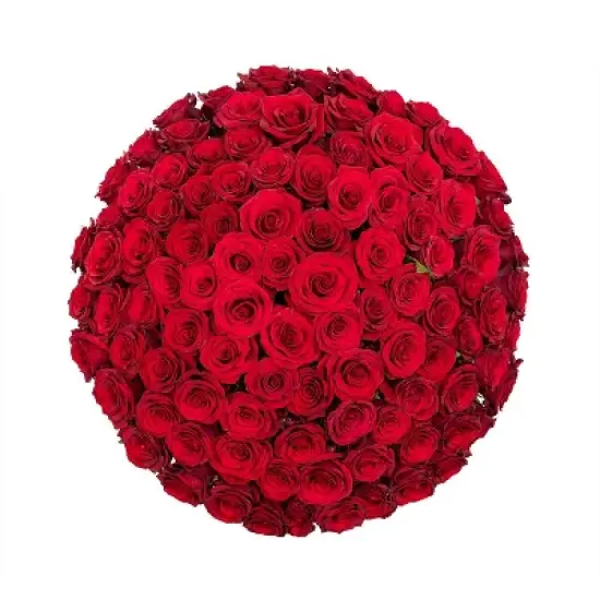 Fresh Cut Roses - 100 Stems image {11}