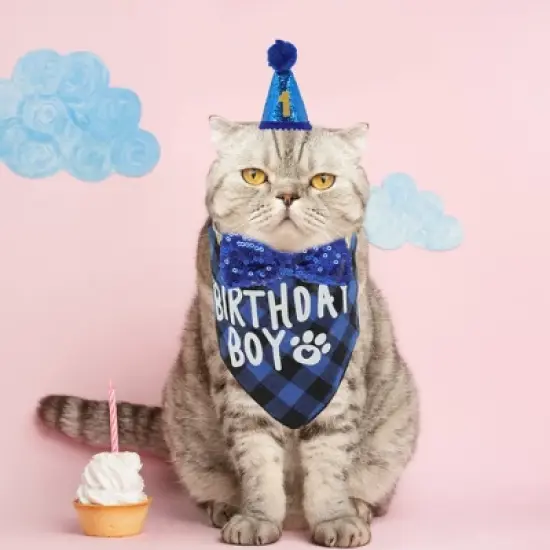 Unique Bargains Cat Birthday Decorations 1 Set image {5}