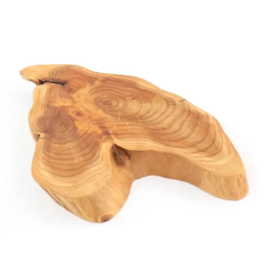 Martha Stewart Fir Root Elevated Server image {5}