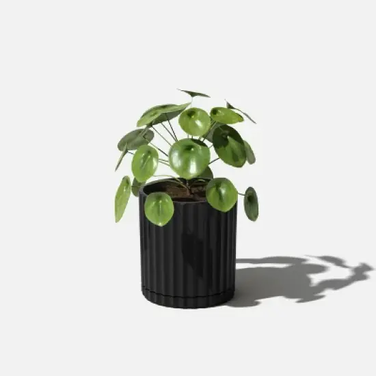Veradek Demi Series Demi 6'' Planter image {5}