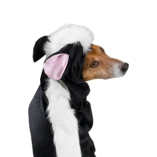 Casual Canine Lil' Stinker Dog Costume image {1}