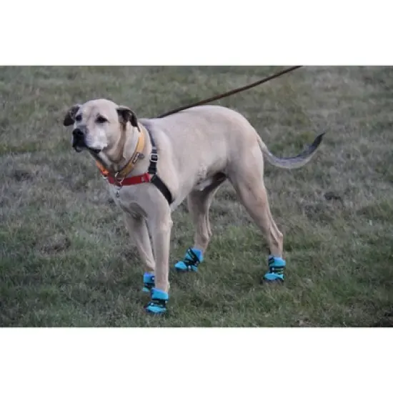 Healers Urban Walker Dog Boots - Teal image {2}