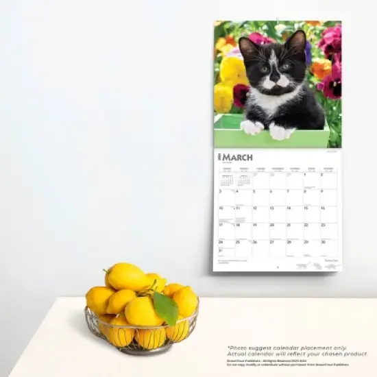 Browntrout 2024 Wall Calendar 12"x12" Tuxedo Cats image {3}