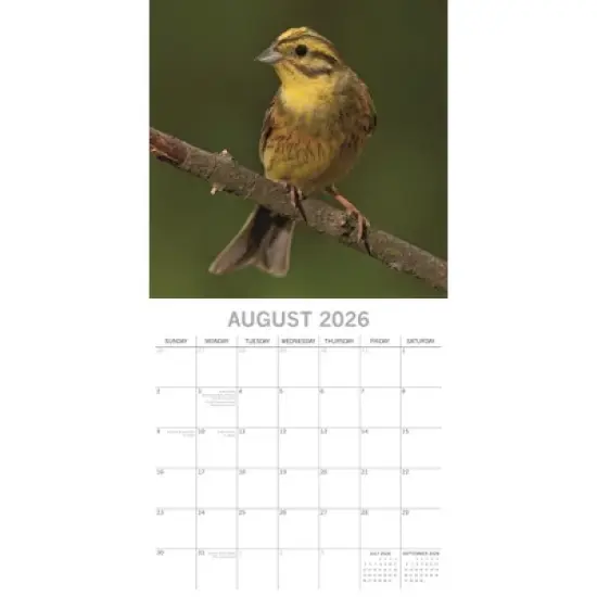 2026 Square Wall Calendar, Birdsong Family, 16-Month Organizer Theme with 180 Reminder Stickers (12x12 In) image {2}