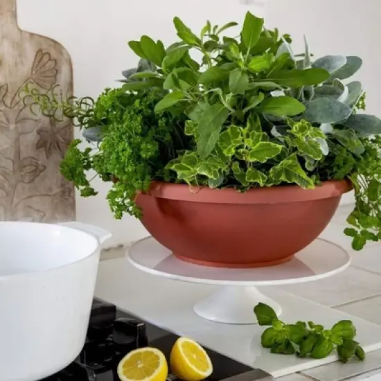 The HC Companies 18 Inch Sun Fade and Crack Withstanding Leakproof Plastic Plain Semi Circular Garden Bowl Planter, Chocolate Brown (4 Pack) image {3}