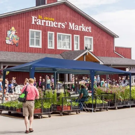 Yescom 10' x 20' Party Wedding Tent Canopy Blue image {2}