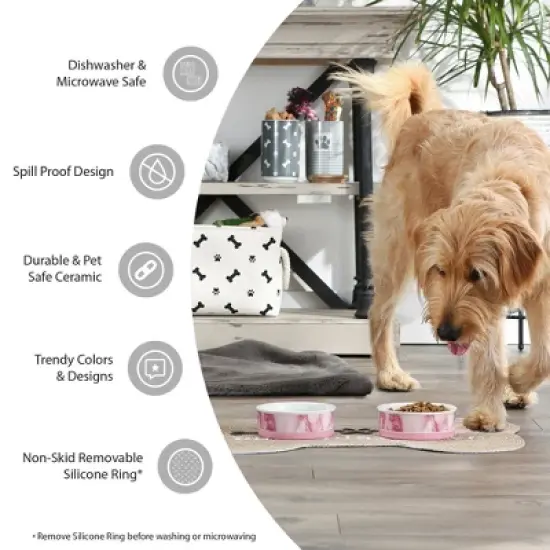 Bone Dry Pet Bowl - Eat Drink - Large 7.5Dx2.4H Set/2 image {4}