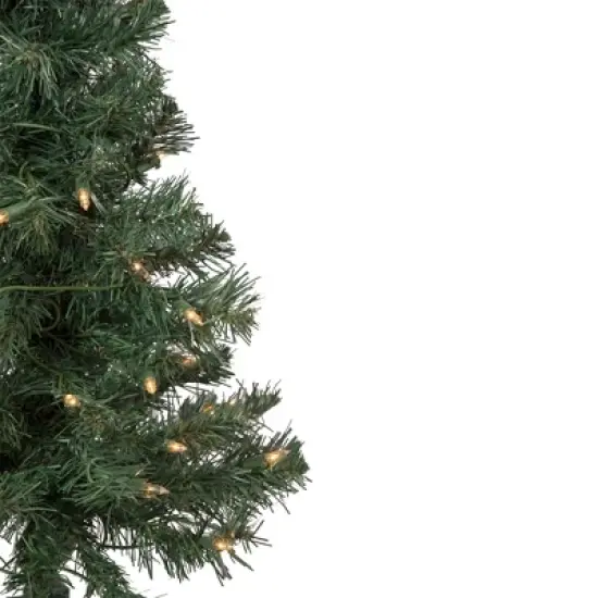 Northlight Pre-Lit Medium Blackwater Fir Artificial Christmas Tree - 2' - Clear Lights image {2}