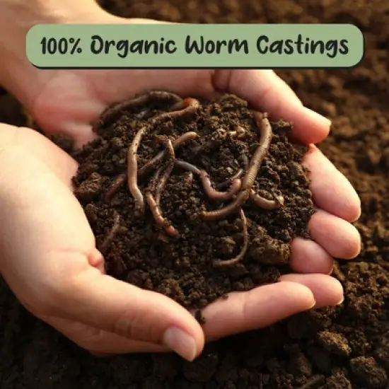 Soil Sunrise Organic Worm Castings, Soil Additive image {3}