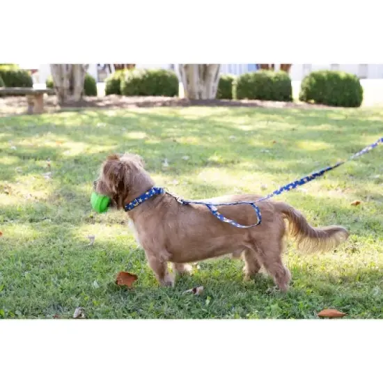 Country Brook Petz Duty Honor Country Martingale Dog Collar (1/2 Inch, 2XS) image {2}