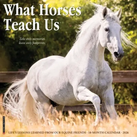 Willow Creek Press 2026 What Horses Teach Us Wall Calendar image {5}