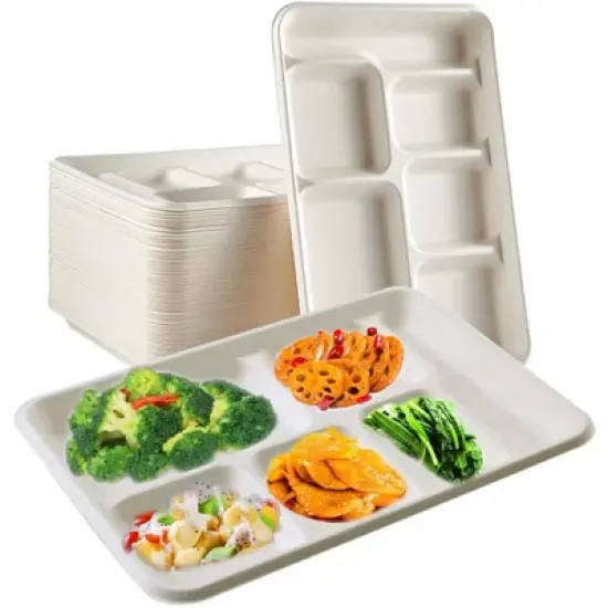6 Compartment Square Biodegradable Divided Plates - Pack of 250 - Rani Brand Authentic Indian Products image {7}