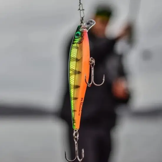 Rapala Shad Rap 07 Fishing Lure image {1}