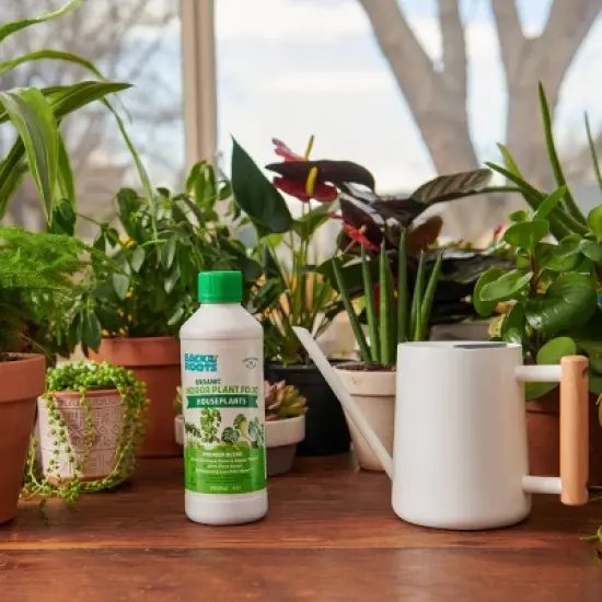 Back to the Roots All Purpose Plant Food 1.5lb image {7}