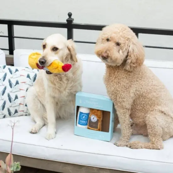 ZippyPaws Happy Hour Crusherz Spirits Dog Toy - 3pk image {3}