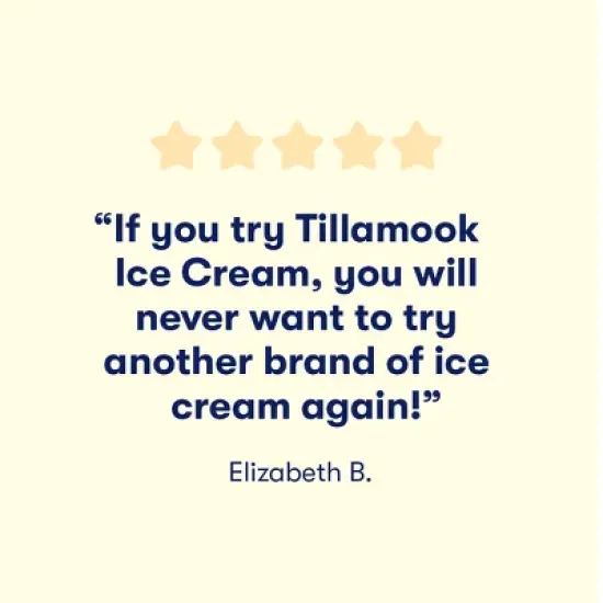 Tillamook Chocolate Chip Cookie Dough Ice Cream - 48 fl oz image {5}