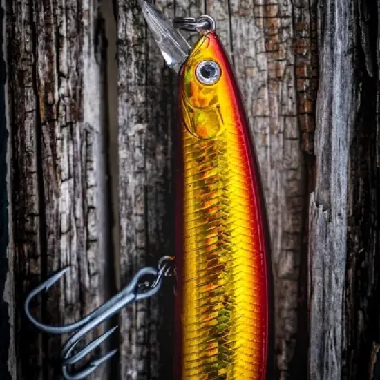 Daiwa Salt Pro Floating Minnow Fishing Lure image {1}