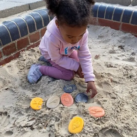 Yellow Door Let's Investigate - Seashore - Set of 8 Stones image {3}
