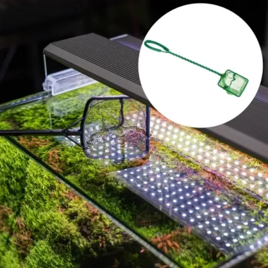 Unique Bargains Aquarium Fish Net Aquarium Fish Tank Accessories Small Fish Fine Net Green 3'' 1Pcs image {5}