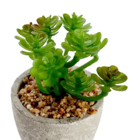 6 Pack Artificial Succulents, 2.7 to 4 inches Green and Red Cactus Plants with Gray Pots image {3}