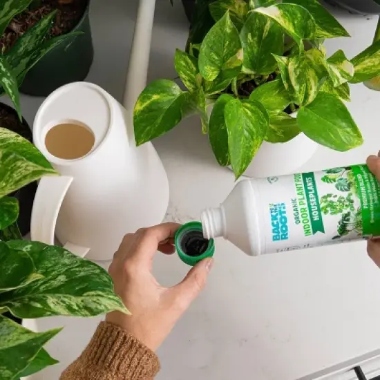 Back to the Roots All Purpose Plant Food 1.5lb image {6}