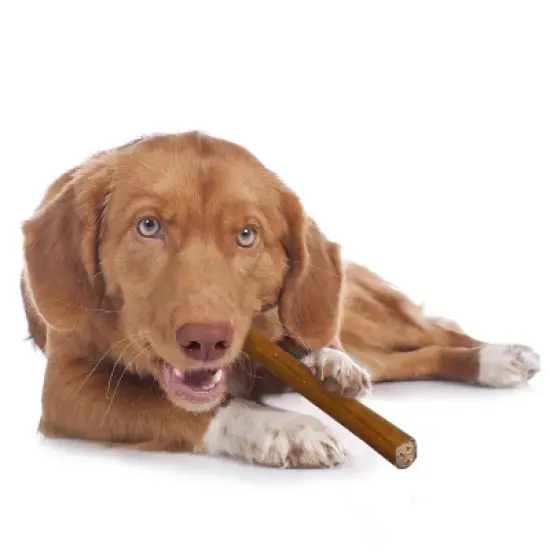 Cadet Bully with Beef Hide Sticks Dog Treat - L - 7.10oz/5ct image {3}