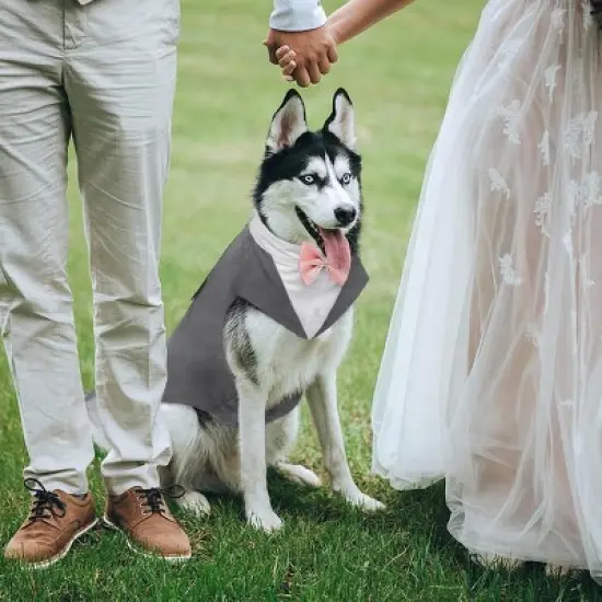 Kuoser Dog Tuxedo Dog Suit and Bandana Set, Dogs Tuxedo Wedding Party Suit, Dog Prince Wedding Bow Tie Shirt Formal Dog Wedding Attire, Gray - Medium image {4}