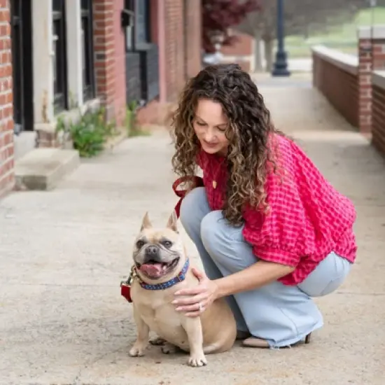 Country Brook Petz Signature Dog Collar Collection image {5}