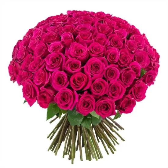 Fresh Cut 100-stem Hot Pink Rose Bouquet image {3}