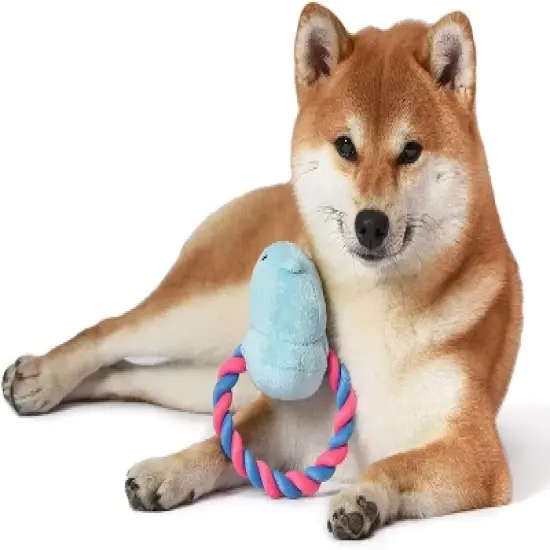 Peeps Squeaky Rope Dog Toys (Blue Chick) image {5}