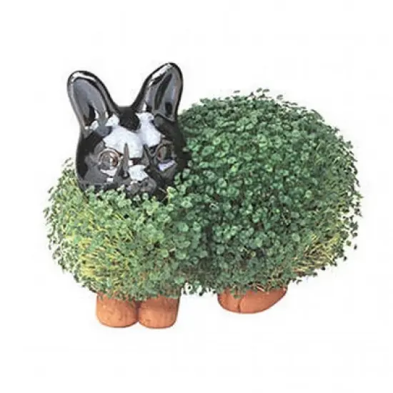 Joseph Enterprises, Inc Chia Pet Grass Planter: Bunny image {1}