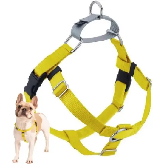 2 Hounds Design Freedom No Pull Dog Harness | Comfortable Control for Easy Walking | Adjustable Dog Harness | Made in USA | 1" LG Yellow image {5}